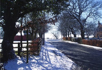 daltonparishcouncil winter road